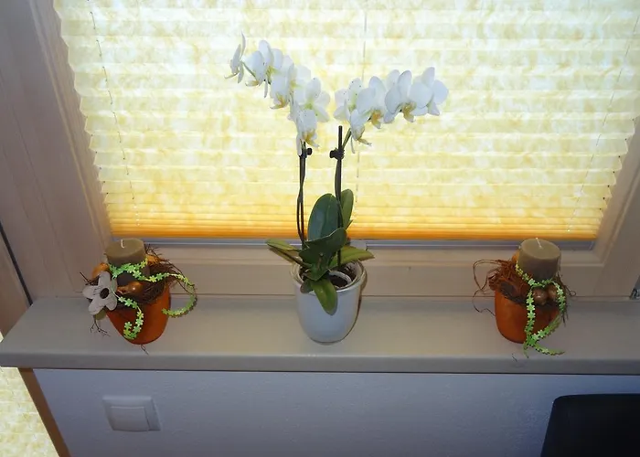 Panorama Брук-ам-Циллер