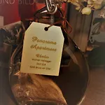 شقة Panorama
