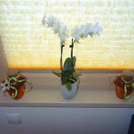 Panorama Bruck am Ziller